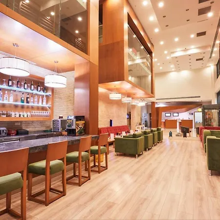 فندق Park Dedeman 4*