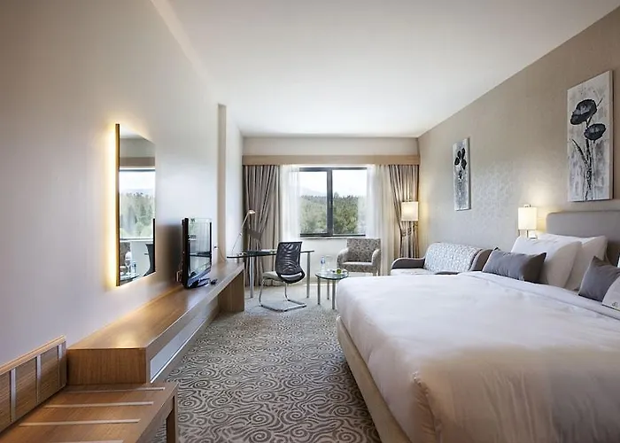 Park Dedeman 代尼兹利