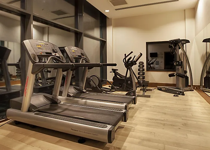 酒店 Park Dedeman 4*