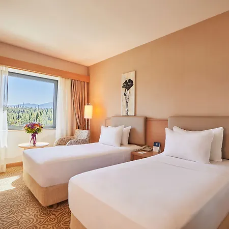 Park Dedeman ホテル 4*