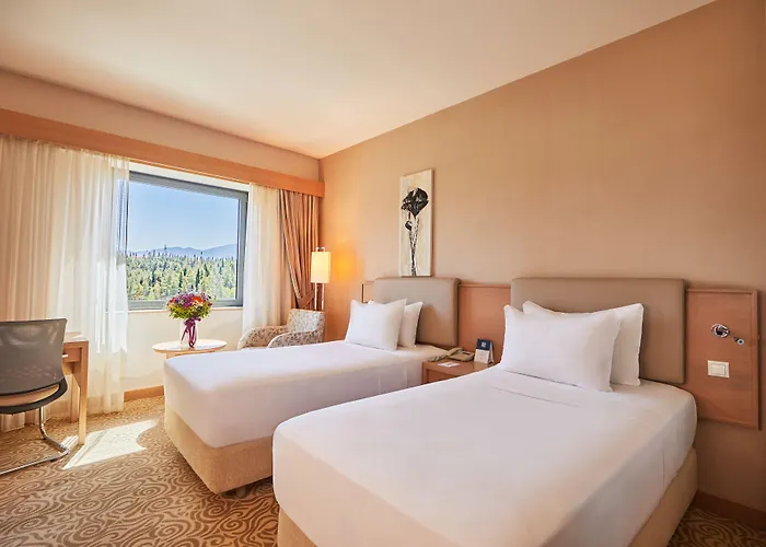 Park Dedeman Hotel 4*